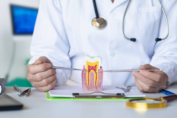 Best Emergency Root Canal Treatment in Schenectady, NY
